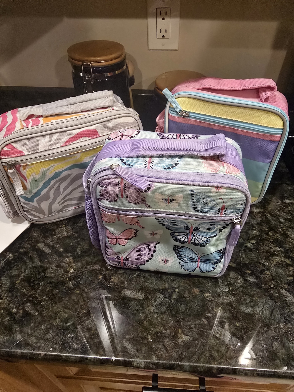 Pottery BARN Insulated Lunch Bags